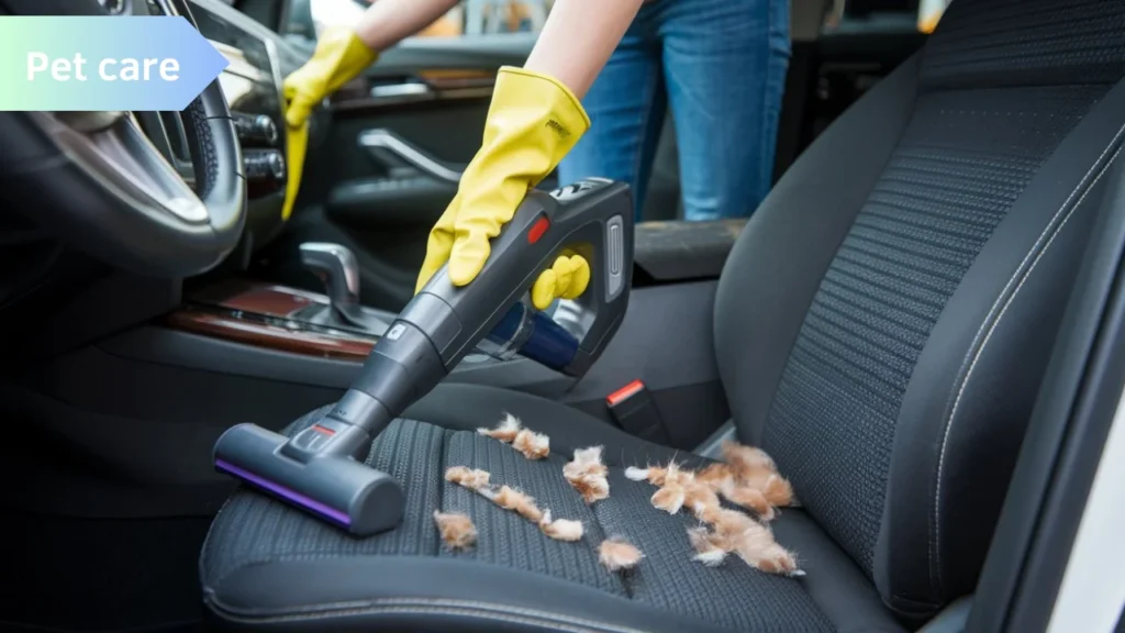 How Do You Get Dog Smell Out of a Car?